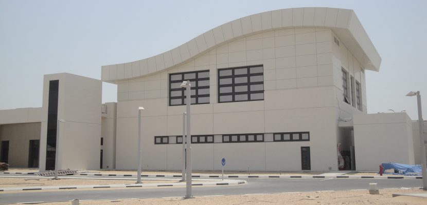 DSC02517
